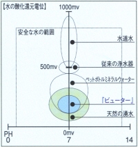 �r���[�^�[�̎_���Ҍ��d��