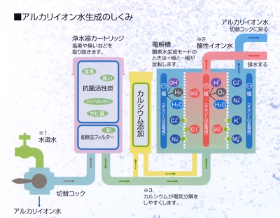 �A���J���C�I���������̎d�g��