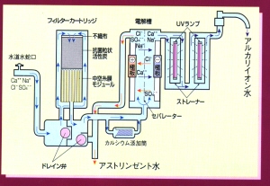 �C�I�����̐���