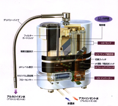 �������\���i�Ҍ������p���j