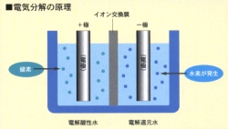 �d�C�����̌���