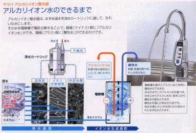 �A���J���C�I�������ł���܂�